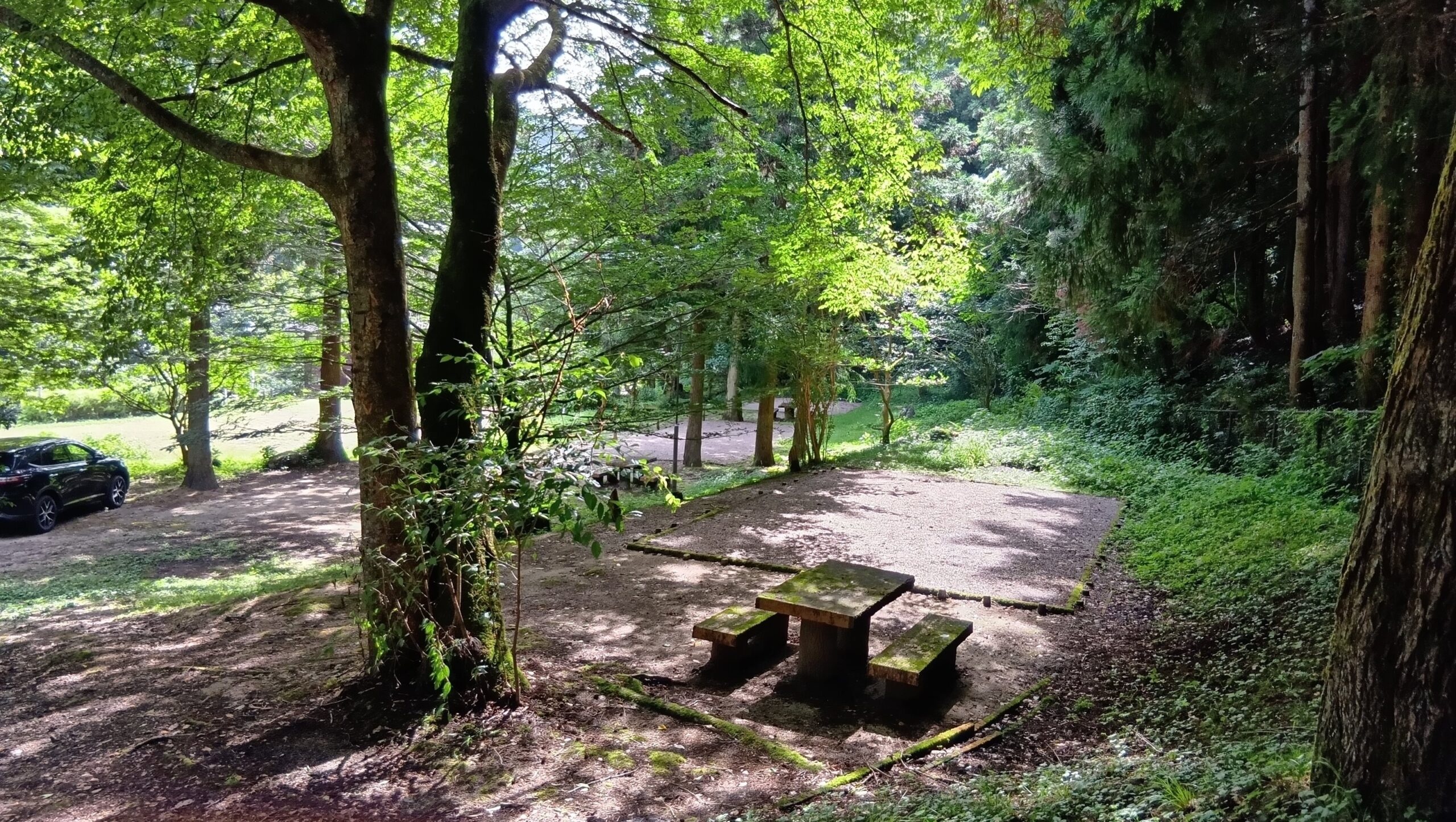 Campsite